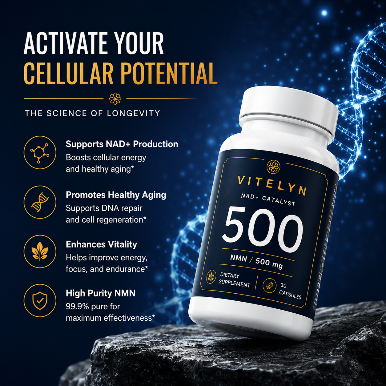Vitelyn NAD+ Catalyst 500 — NMN 500mg | 30 Capsules — view 3